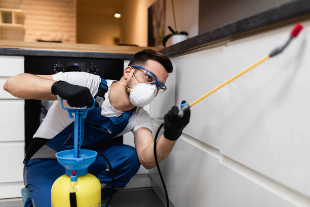 Best Wildlife Control Services  in White City, UT