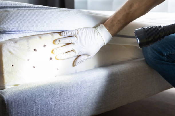 White City, UT Pest Control Company
